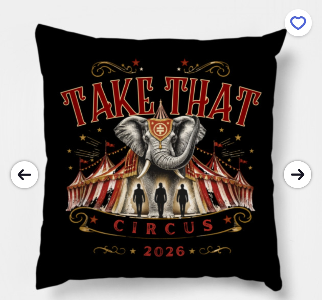 Take That Circus Tour Cushion